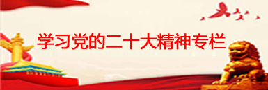 学习党的二十大精神