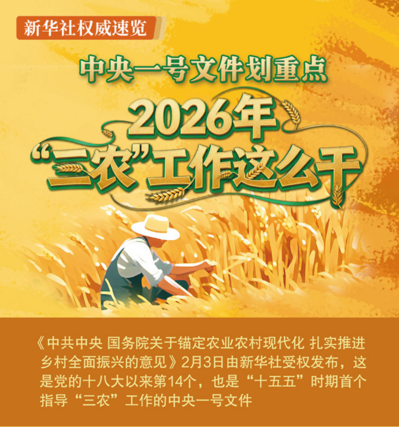 中央一号文件划重点，2026年“三农”工作这么干