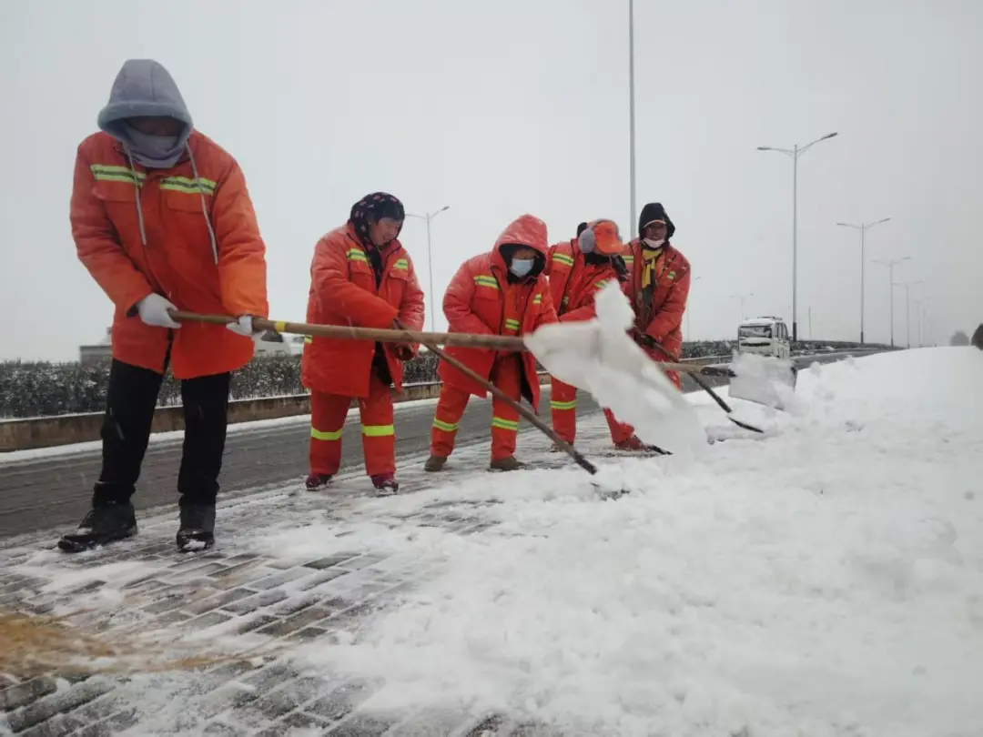 “一夜雪无”！焦作“雪停路通”背后的城管速度