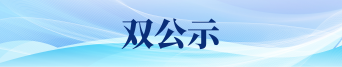 双公示