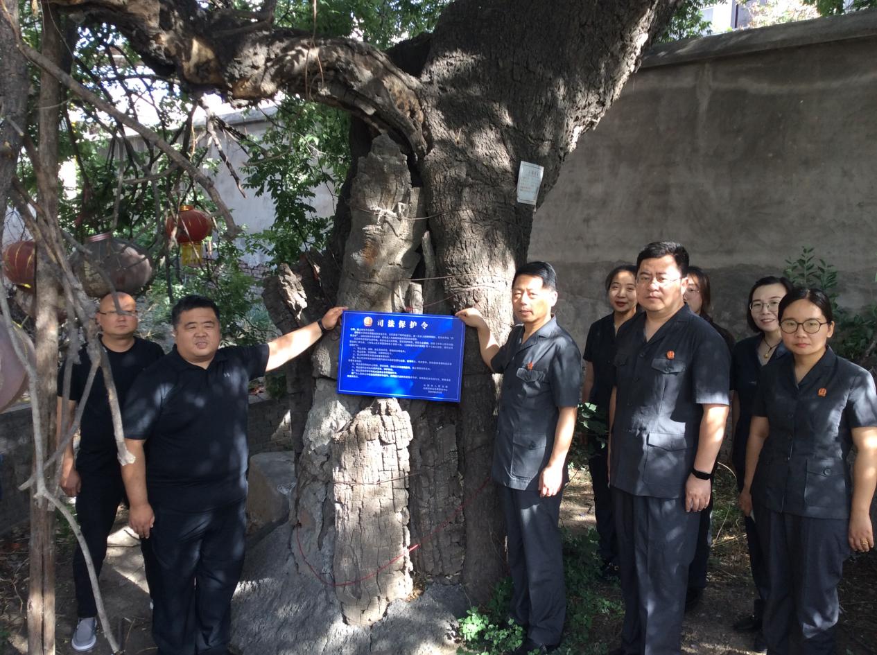 沁阳市发布古树名木司法保护令