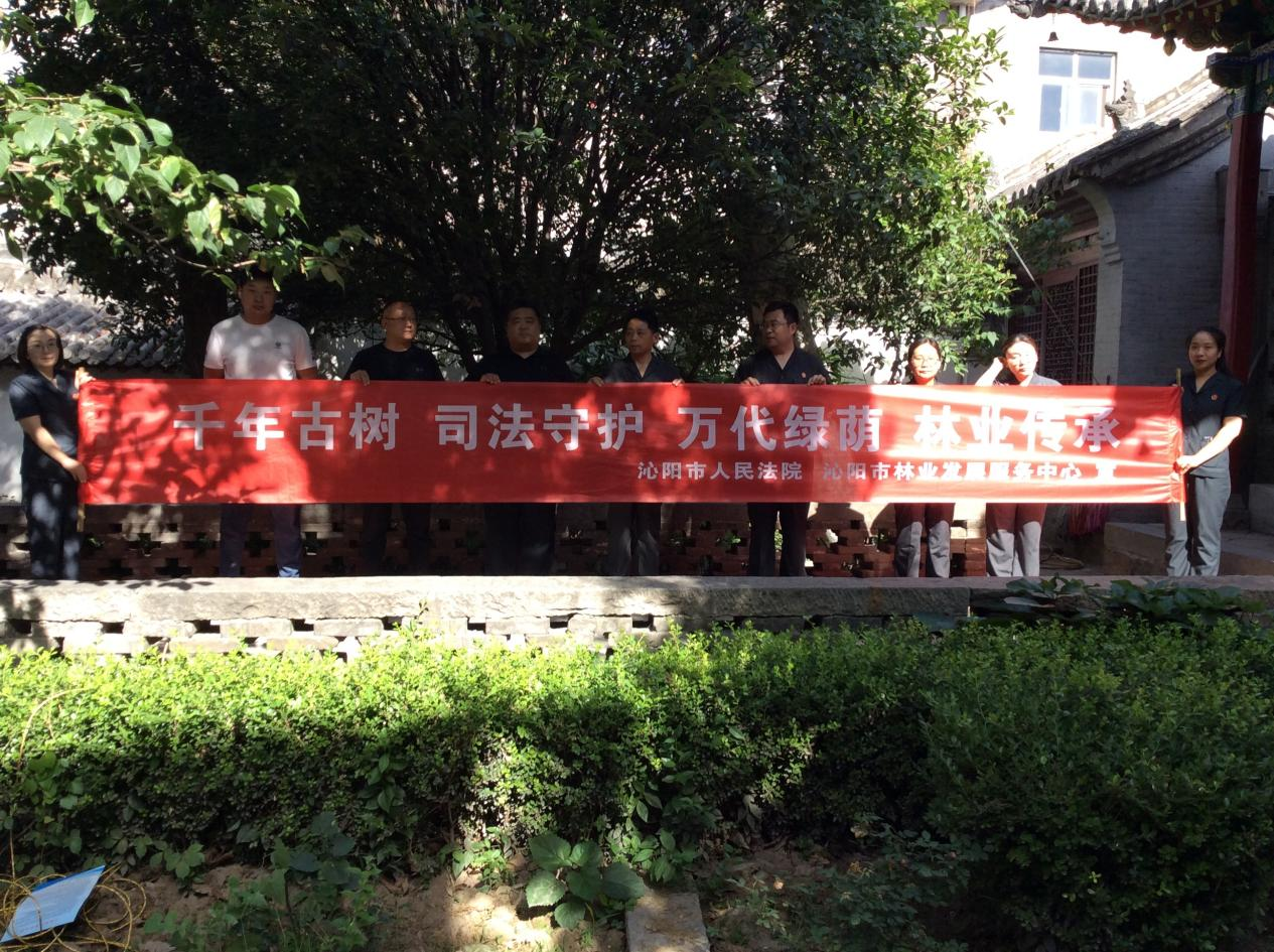 沁阳市发布古树名木司法保护令