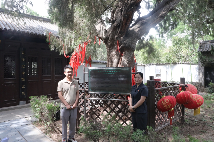 孟州市：以法之名守护千年绿意