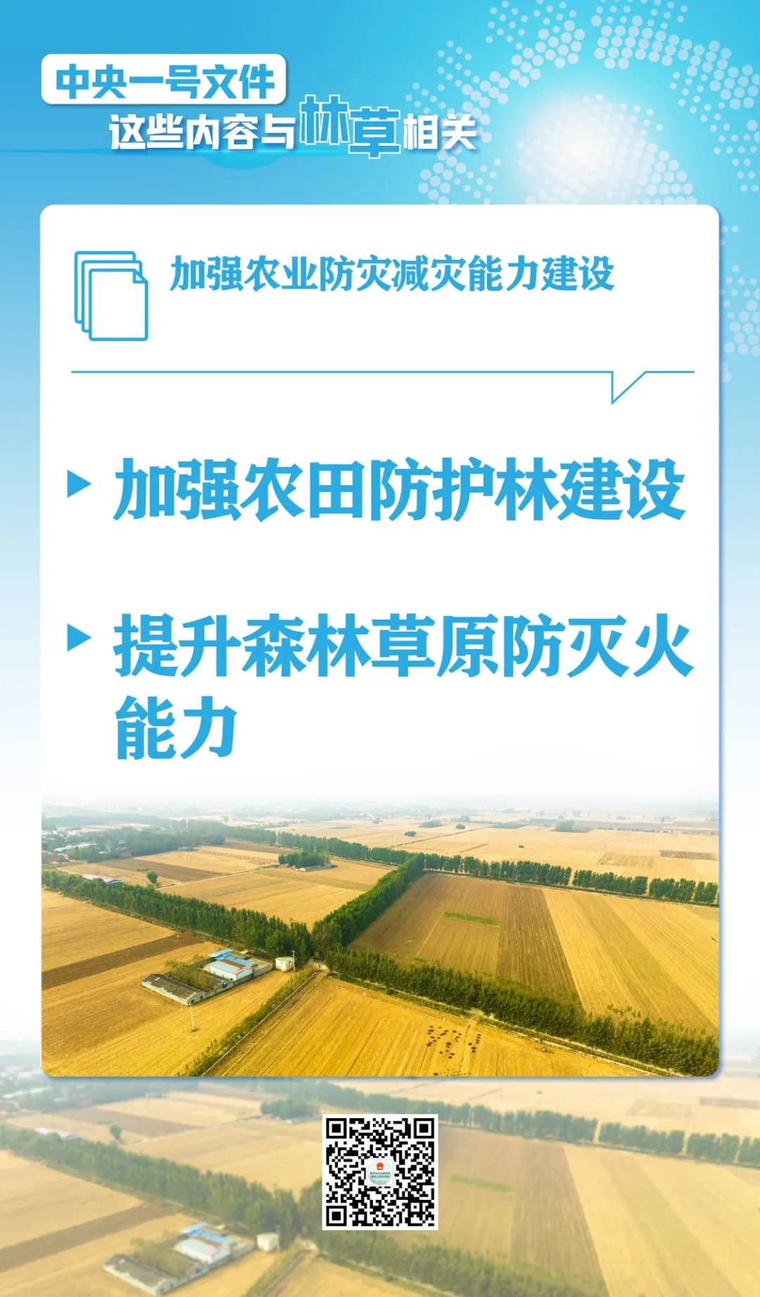 划重点！中央一号文件这些内容与林草相关