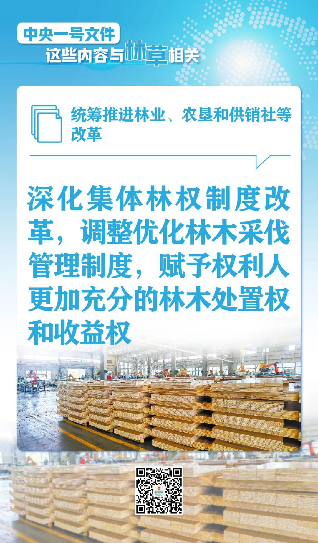 划重点！中央一号文件这些内容与林草相关