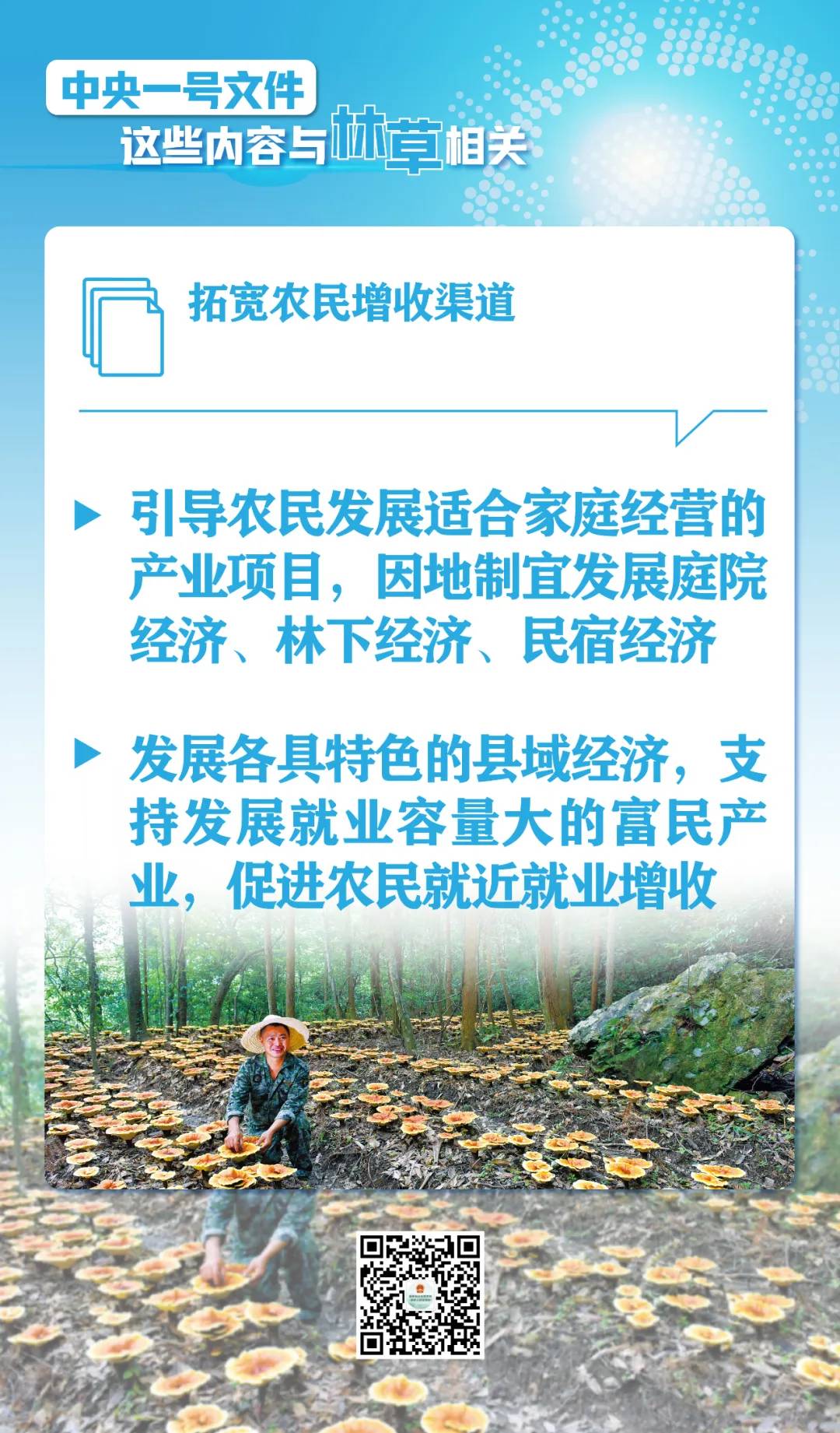 划重点！中央一号文件这些内容与林草相关