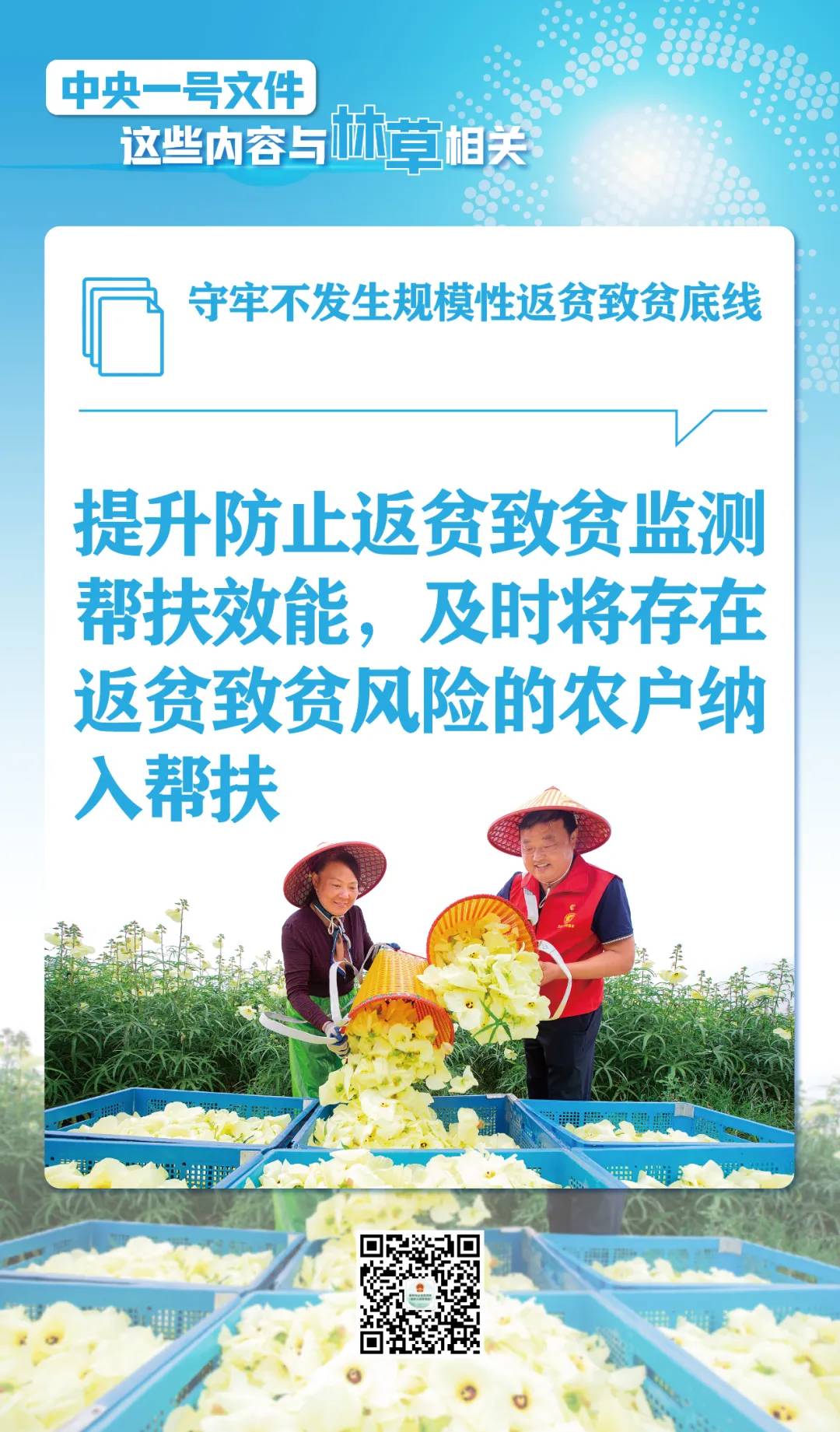 划重点！中央一号文件这些内容与林草相关