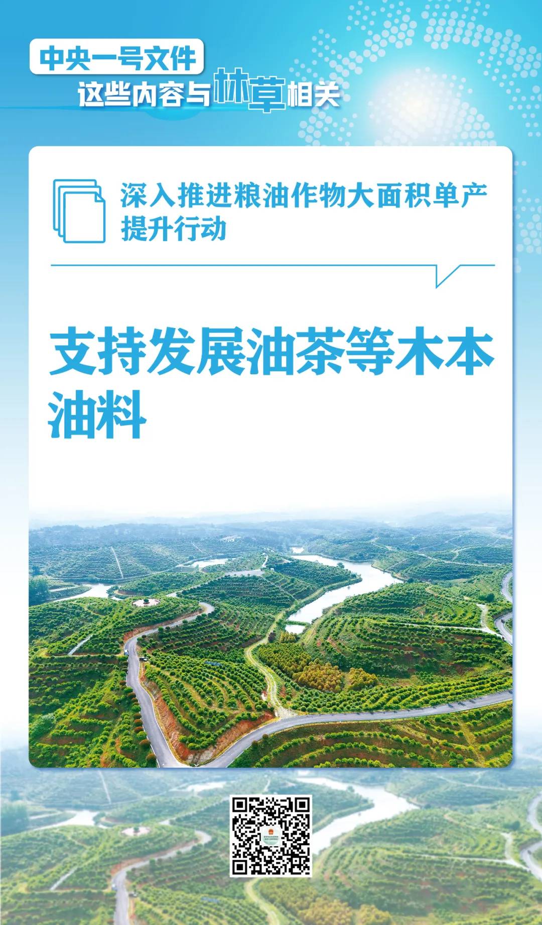划重点！中央一号文件这些内容与林草相关