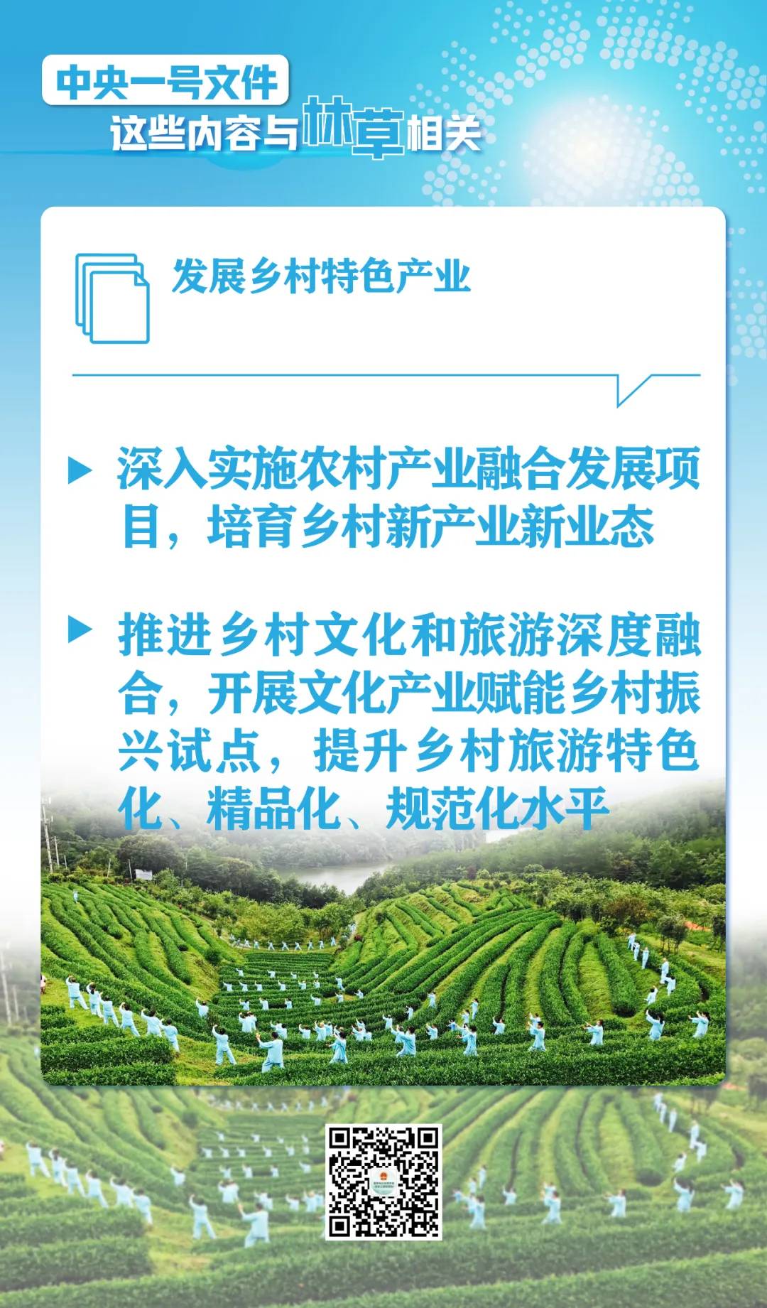 划重点！中央一号文件这些内容与林草相关