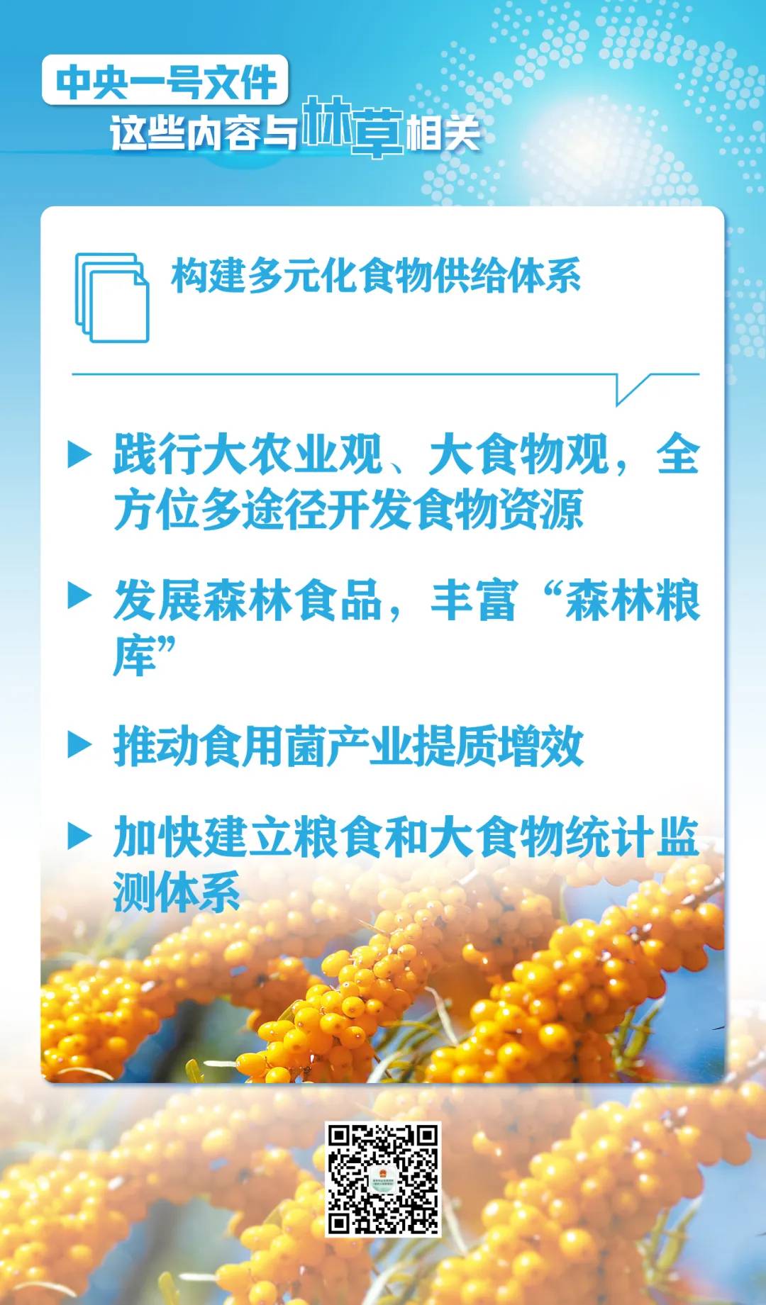 划重点！中央一号文件这些内容与林草相关