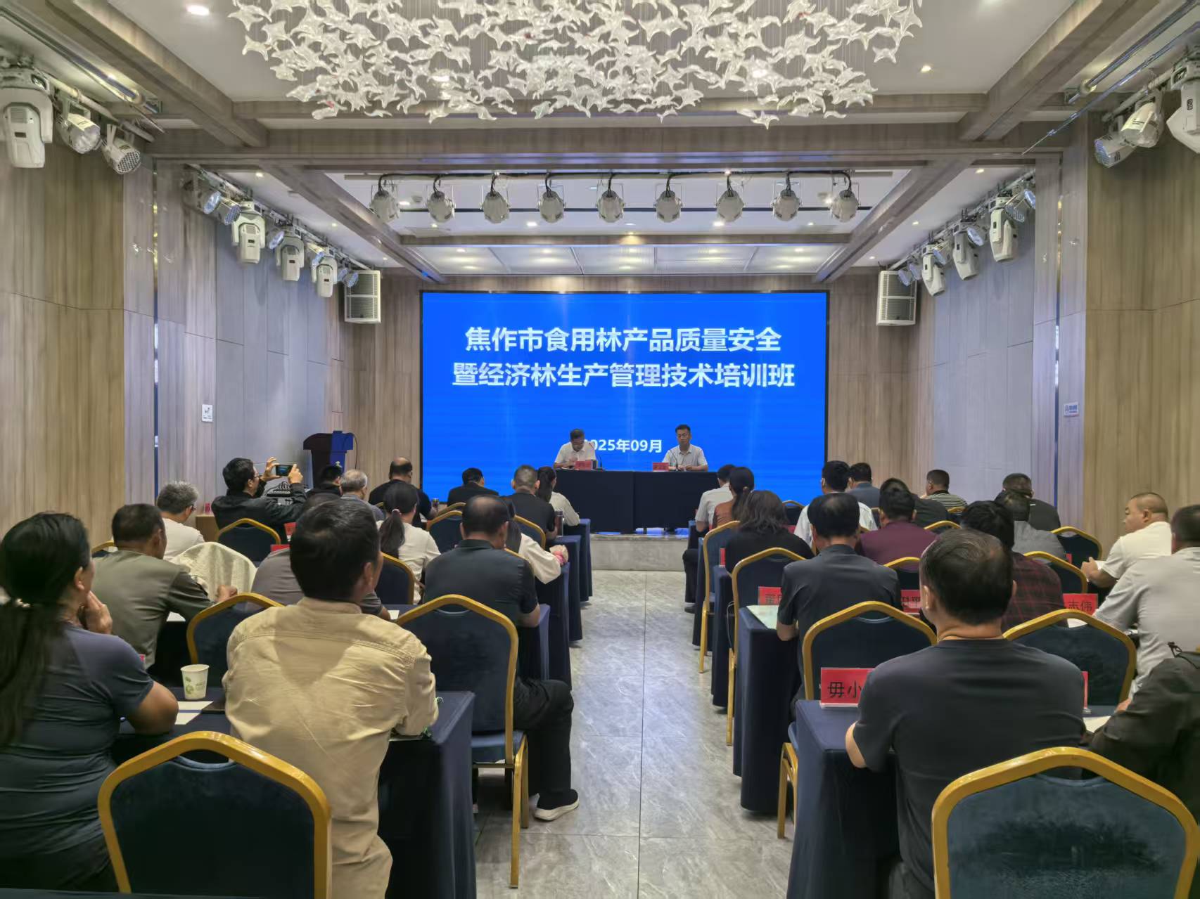市林业工作站组织开展全市食用林产品质量安全培训