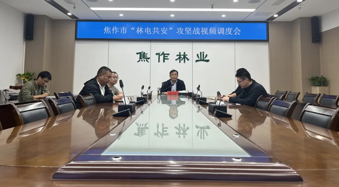 我市召开“林电共安”攻坚战视频调度会议