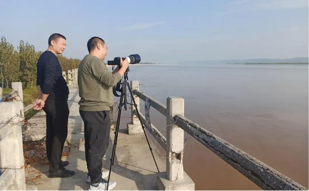 武陟县积极开展野生动物保护行动