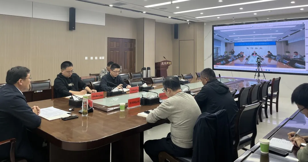 我市召开“林电共安”攻坚战视频调度会议