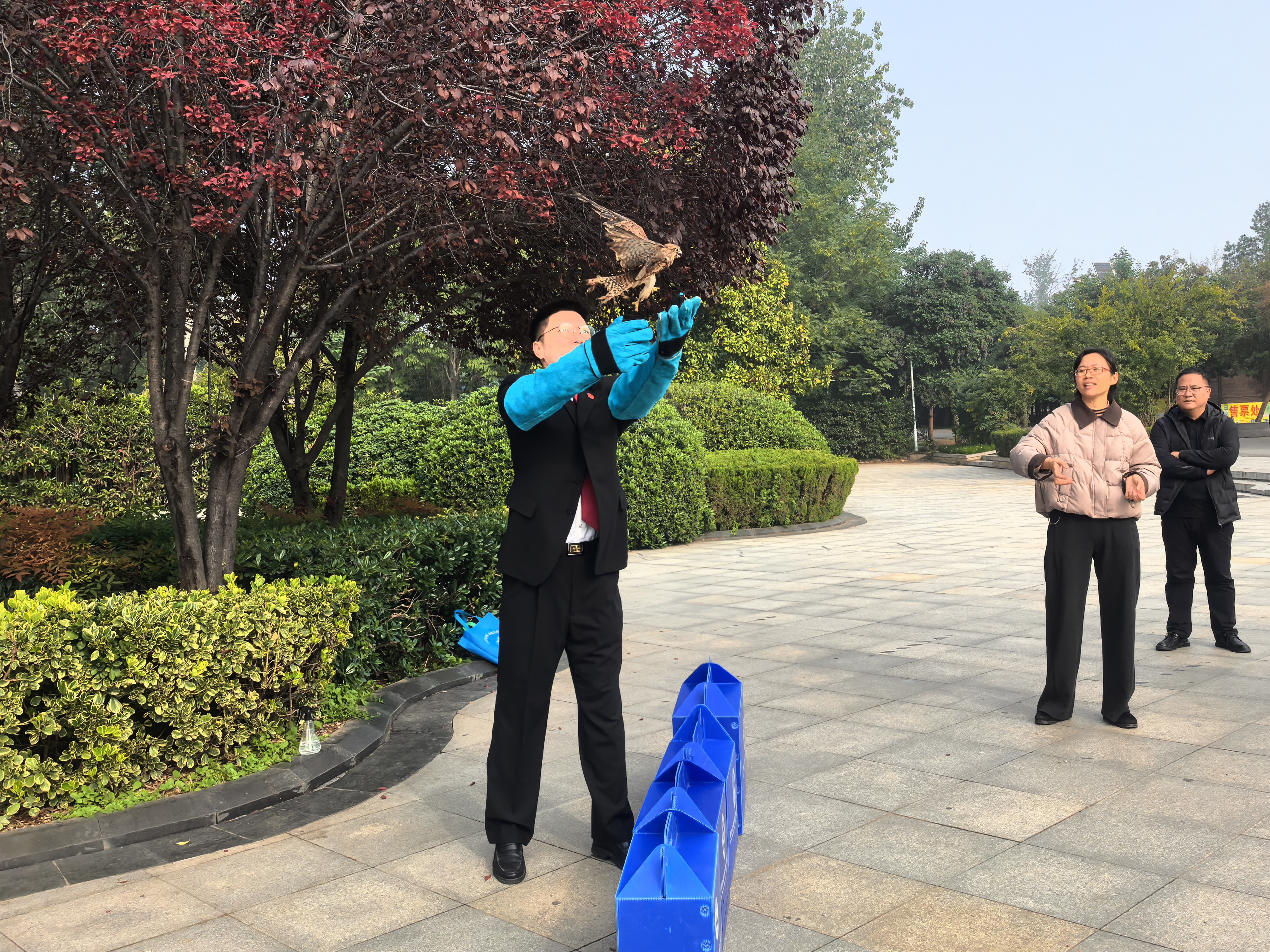 林长制引领聚合力 ——“林长+公检法三长” 联动开展野生动物保护主题宣传