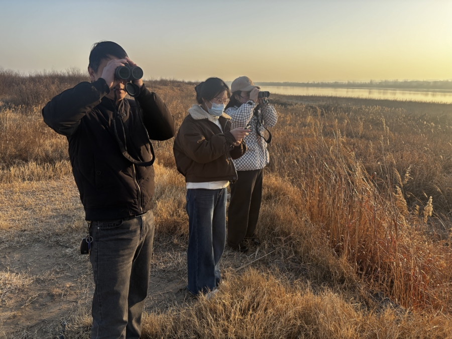 孟州市开展越冬水鸟同步监测工作