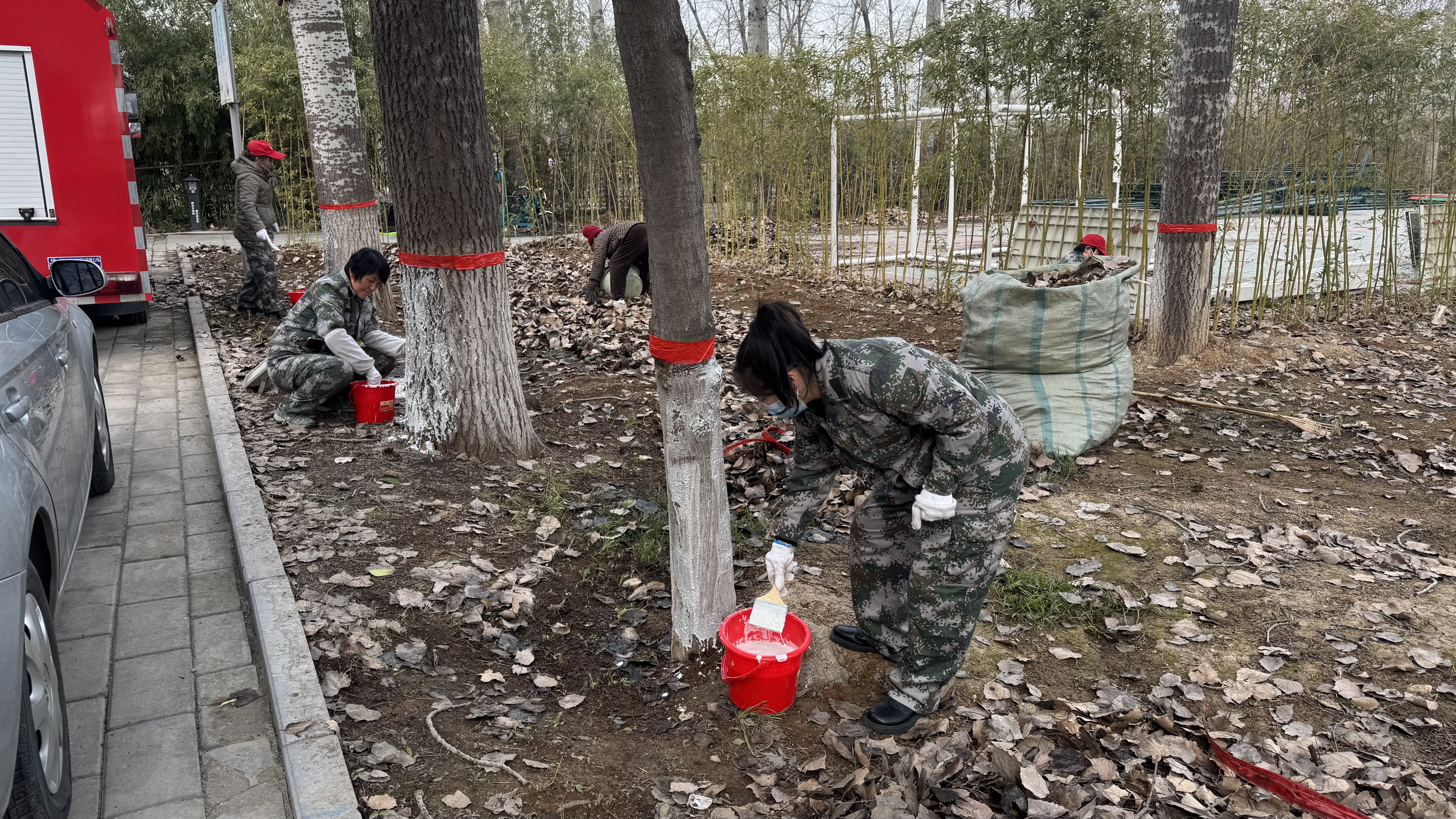 市林业局召开全市林业系统森林防火工作视频调度会