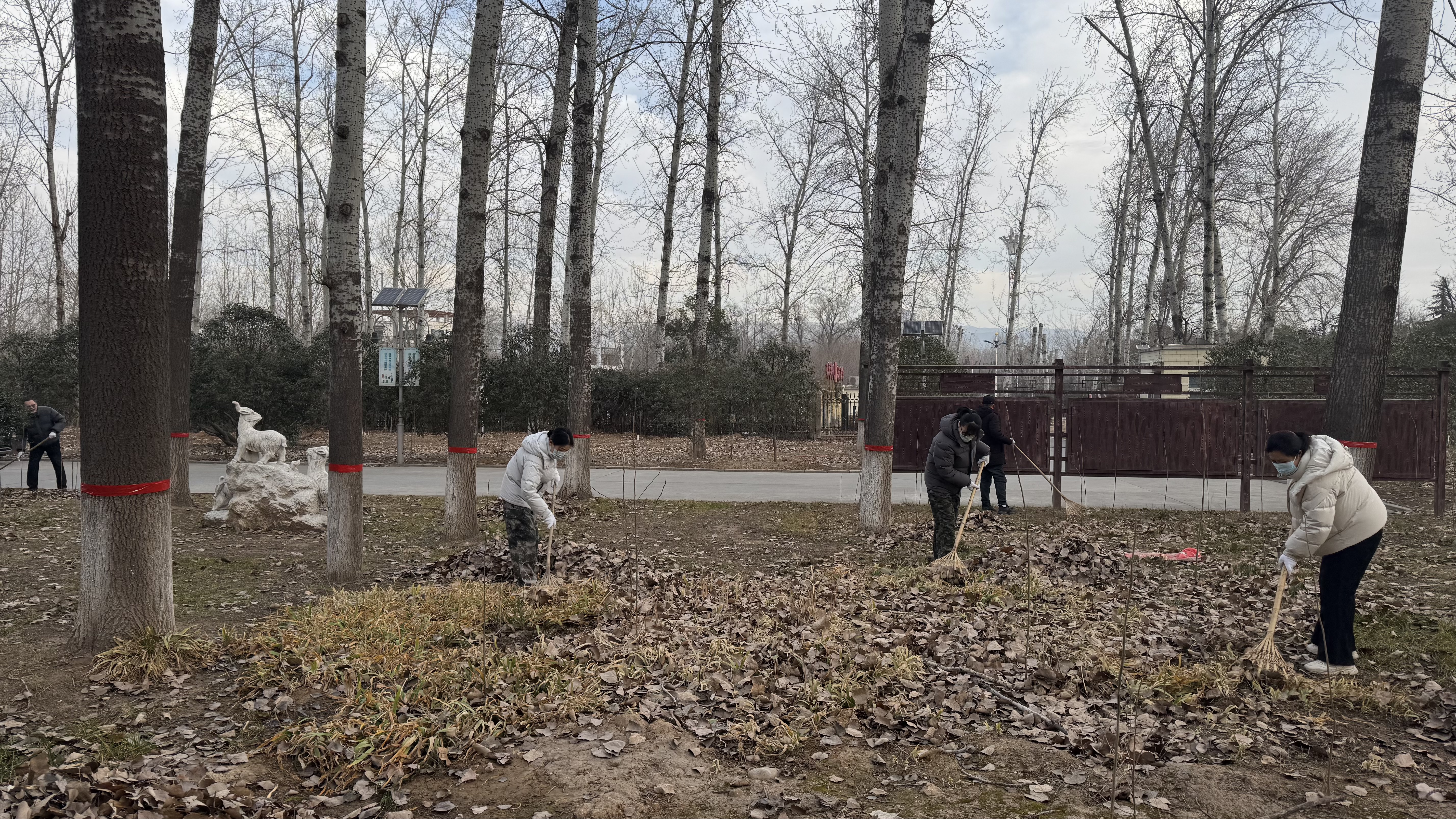 市林业局召开全市林业系统森林防火工作视频调度会