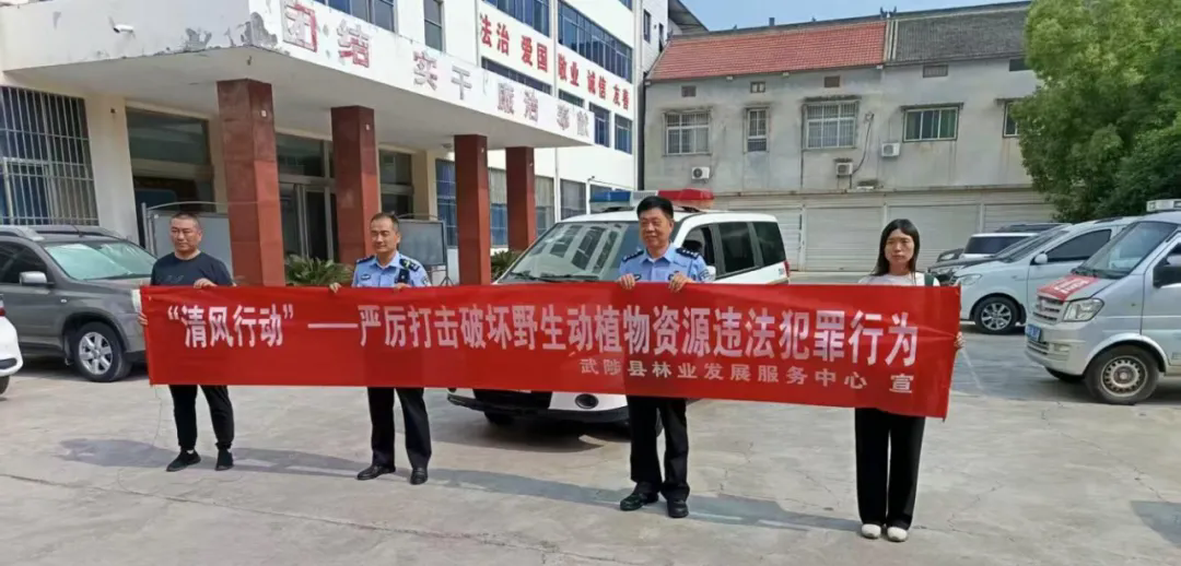武陟县扎实推进“清风行动2026” 武陟县扎实推进“清风行动2026”