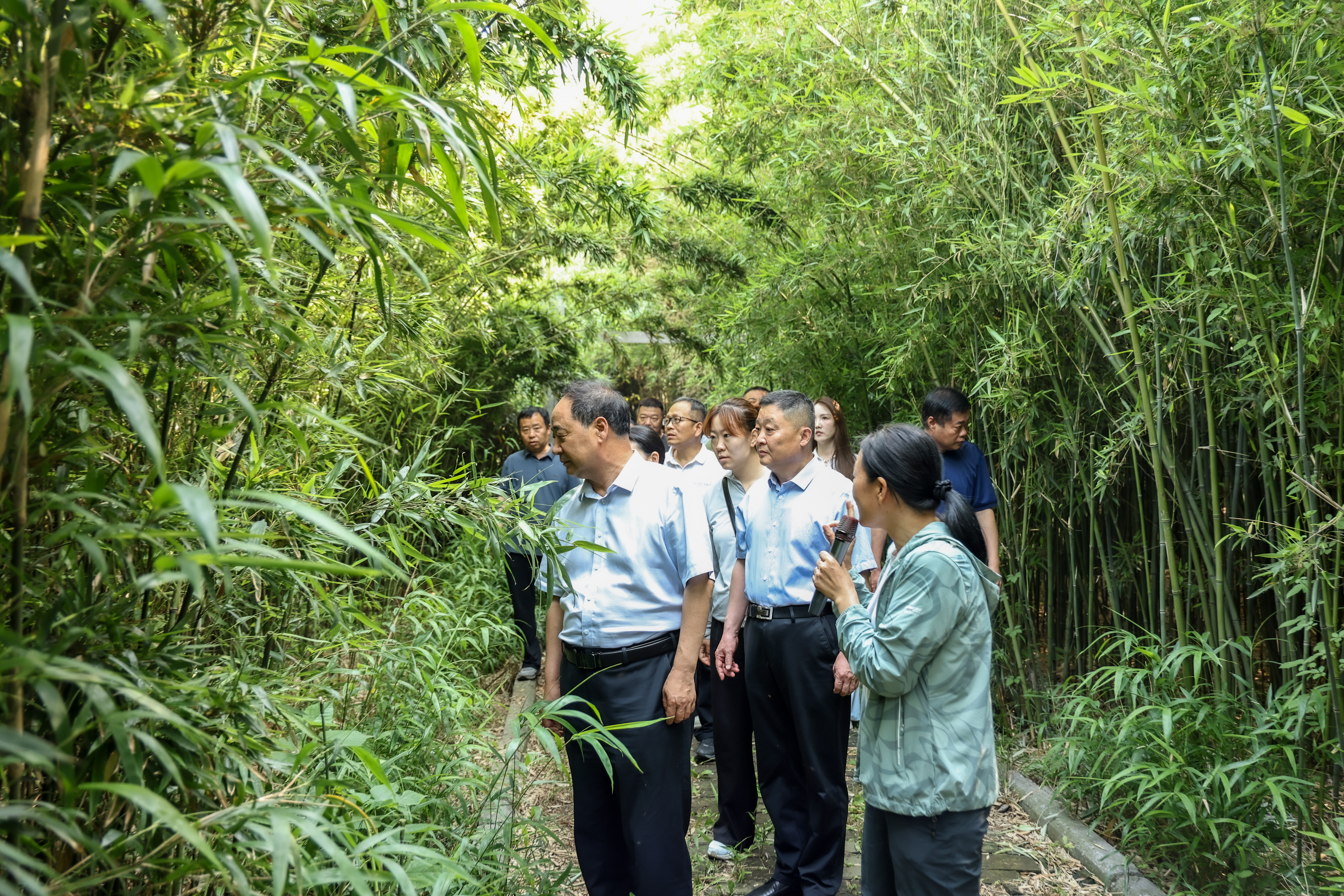 我市召开林长制工作现场推进会 我市召开林长制工作现场推进会