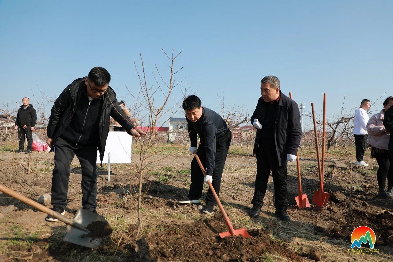 山阳区组织开展2026年春季义务植树活动