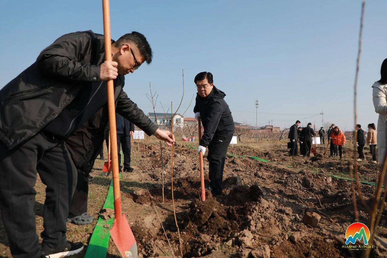 山阳区组织开展2026年春季义务植树活动