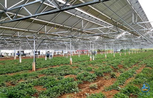 微信图片_20180921154416