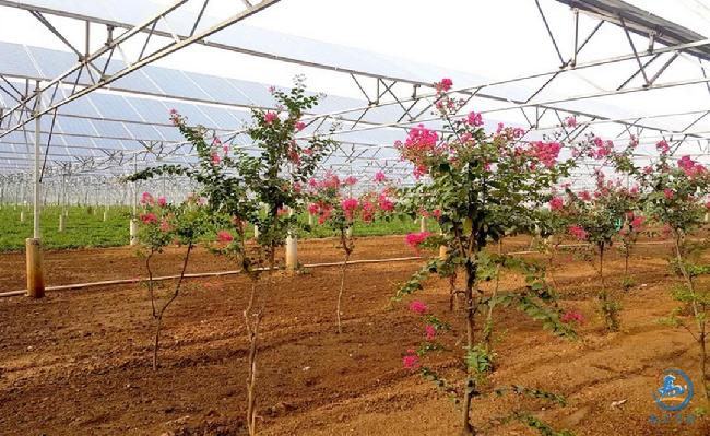 微信图片_20180921154419