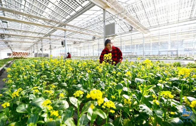 微信图片_20180921154423