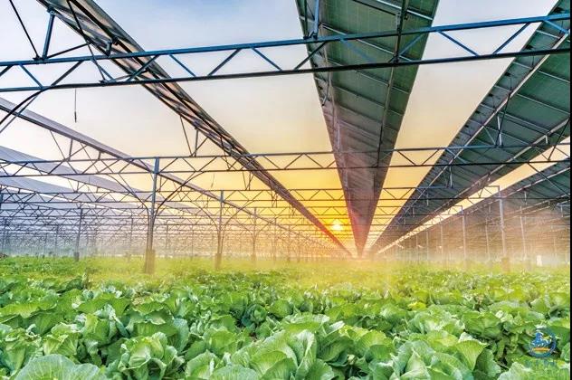 微信图片_20180927084313