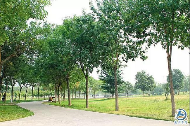 微信图片_20180930091346