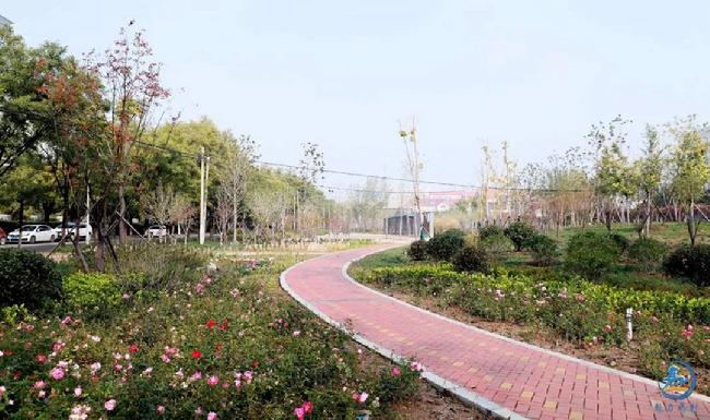 微信图片_20181113021944