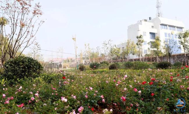 微信图片_20181113021949