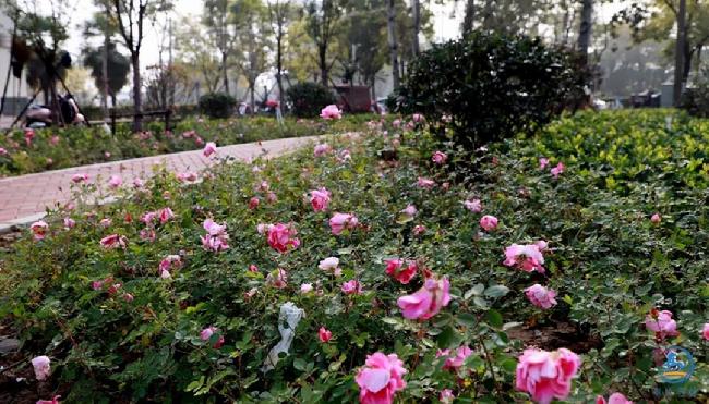 微信图片_20181113021941