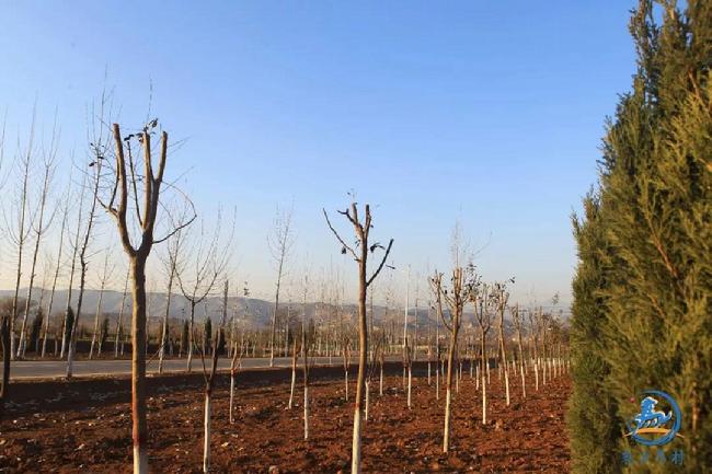 微信图片_20181217081157