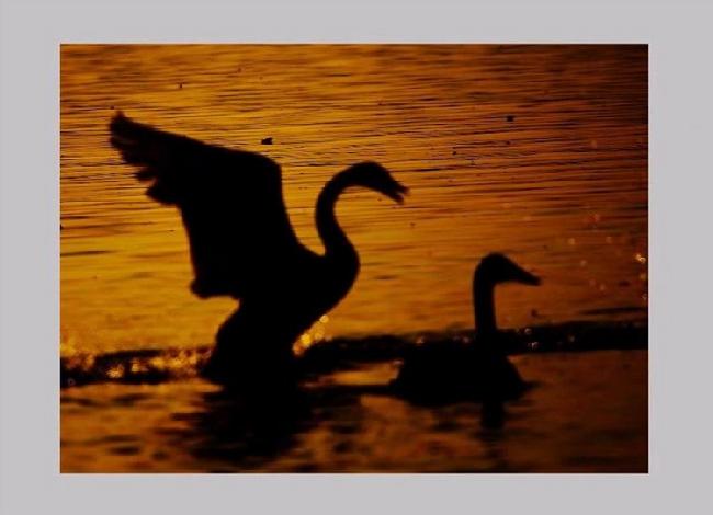 微信图片_20190203215737