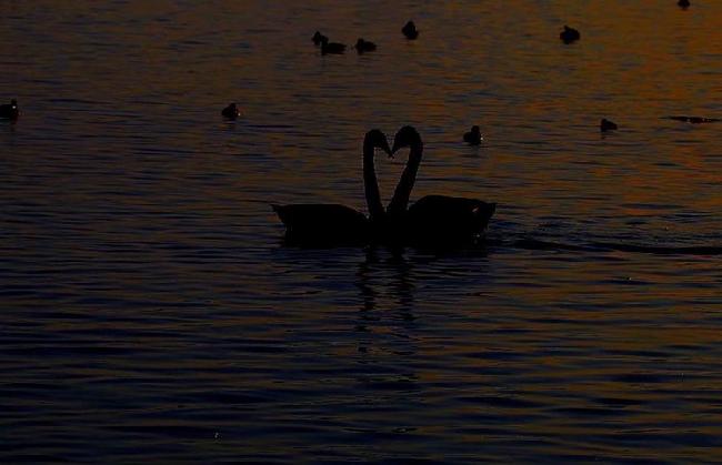 微信图片_20190203215742