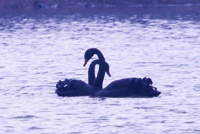 微信图片_20190228083104