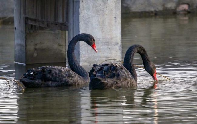 微信图片_20190228083039