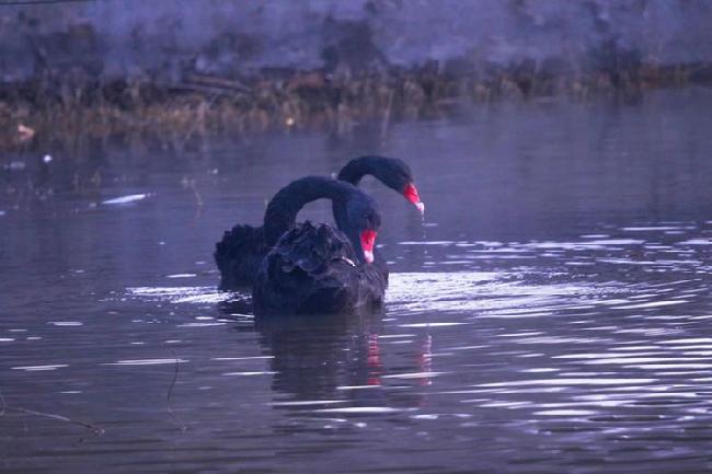 微信图片_20190228083053