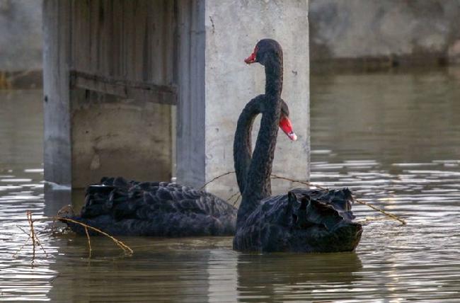 微信图片_20190228083047