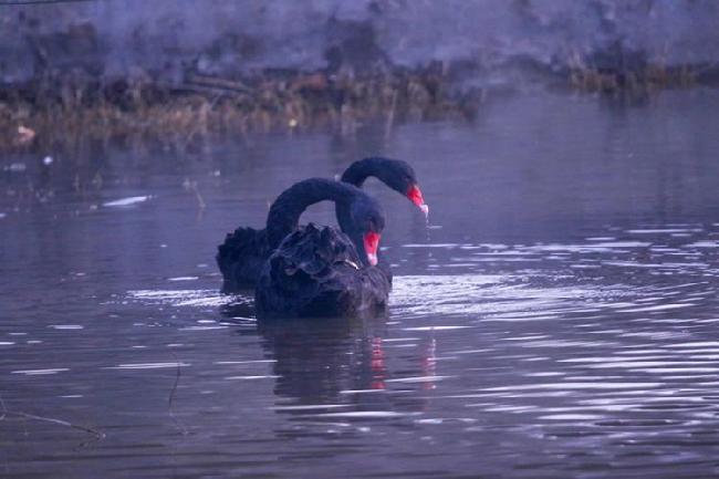 微信图片_20190228083058