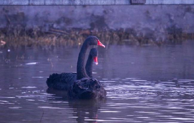 微信图片_20190228083044