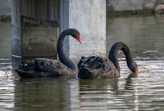 微信图片_20190228083050