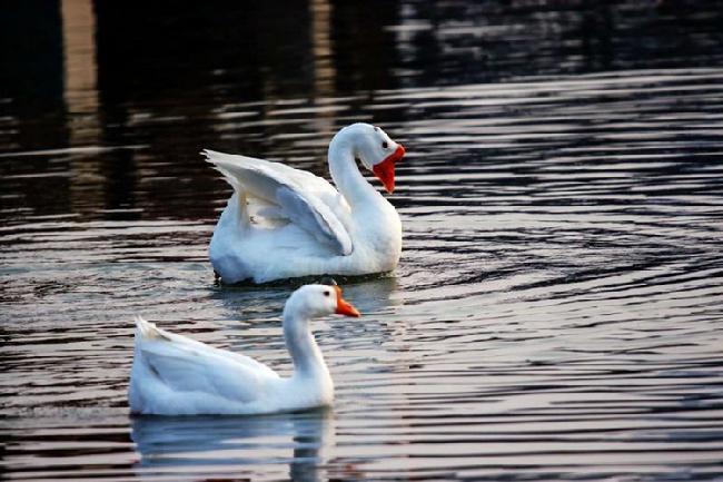 微信图片_20190228083056