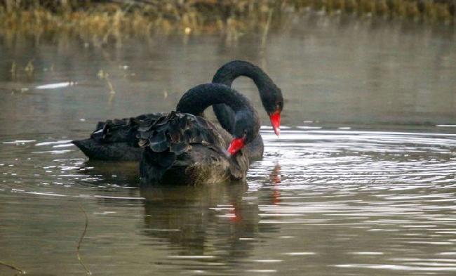 微信图片_20190228083033