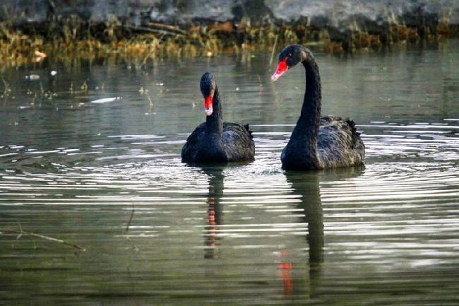 微信图片_20190228083027