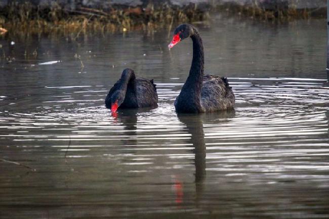 微信图片_20190228083023