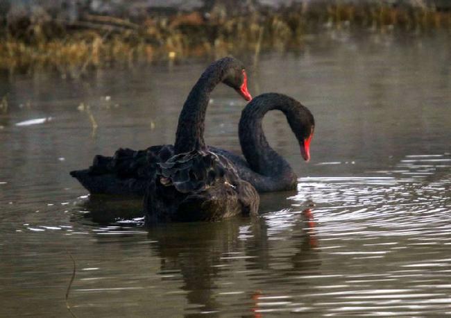 微信图片_20190228083036