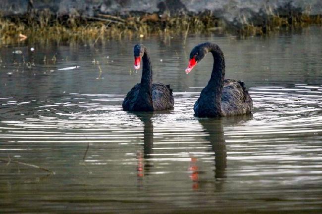 微信图片_20190228083031